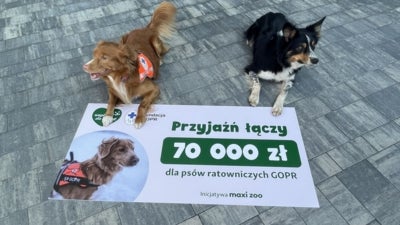 psy na czeku2.jpg