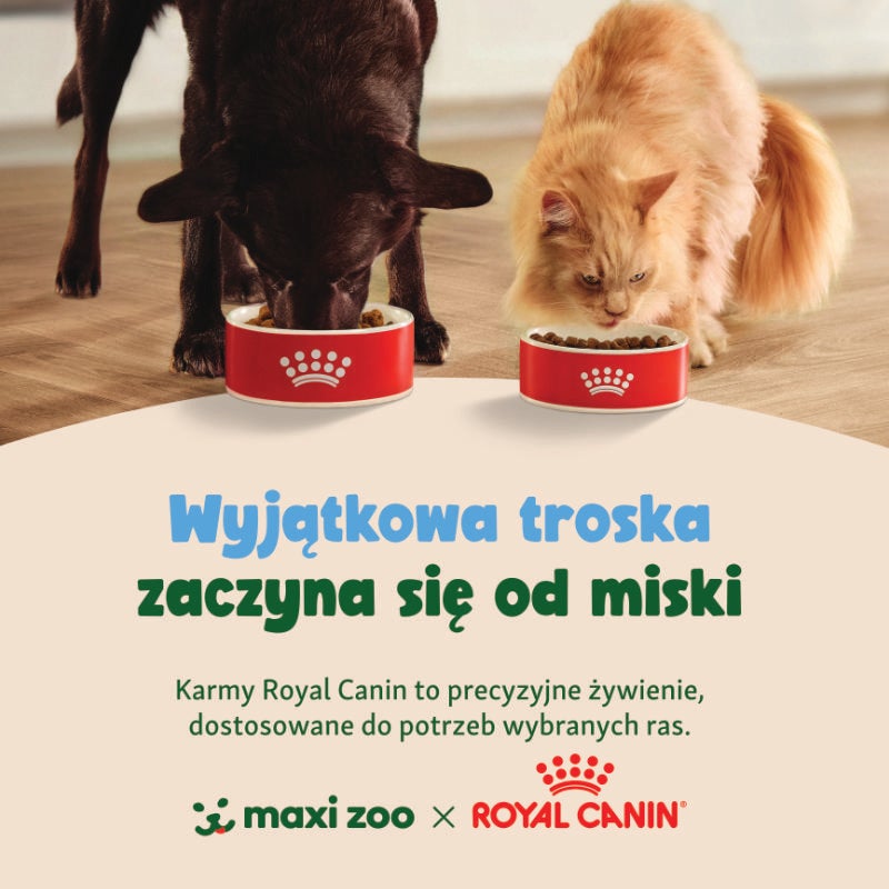 Zdrowie zaczyna się od miski!